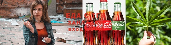 крисы Няндома