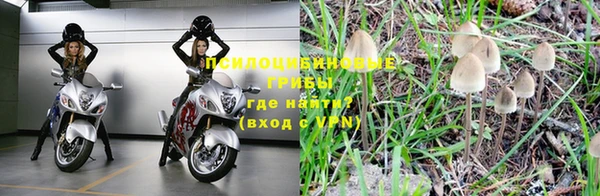 spice Нягань