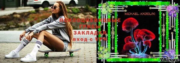 винт Баксан