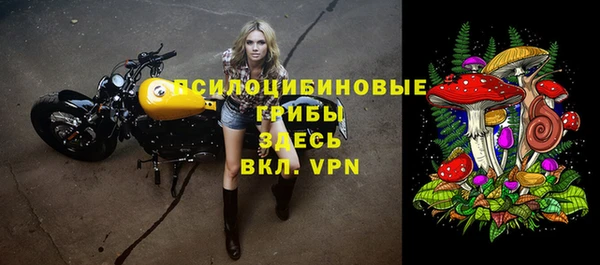 стаф Балабаново